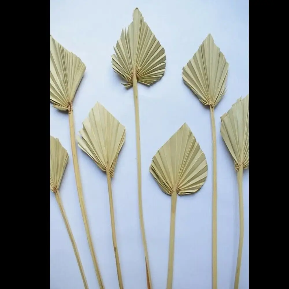 10 unids/set secos Palm Spears hojas de palma secas hojas de palma flores DIY decoraci&oacute;n de oficina KYY1539-2