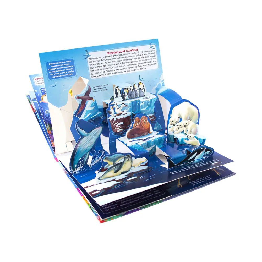POP UP энциклопедия MALAMALAMA. Живая планета. Моря и океаны : книжка-панорамка | Игрушки