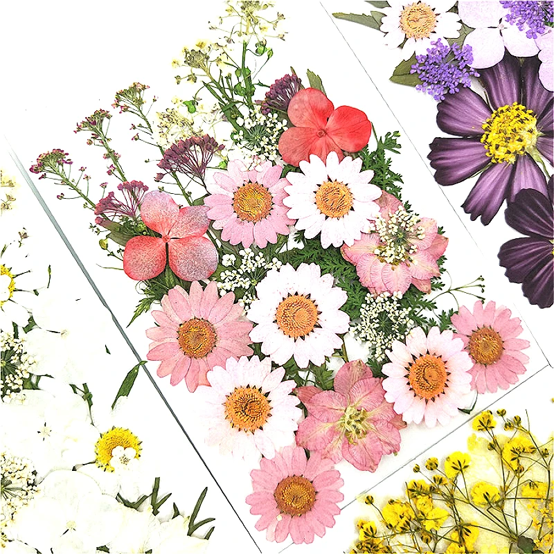 

Colorful Diy Dried Flowers Resin Mold Fillings Uv Expoxy Flower for Nail Art Pressed Flowers for Home Decor Handicraft