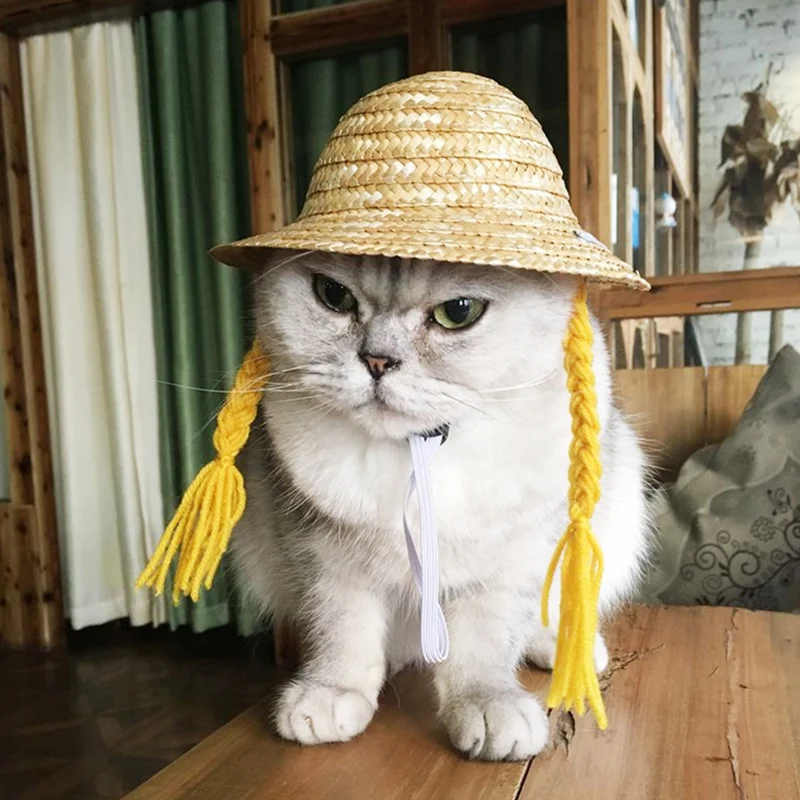 Собака бейсболка с кошкой летняя крутая модная соломенная шляпа на открытом воздухе невыгорающий котенок щенок для домашних животных аксессуары для маленьких собак и кошек пляжные Вечерние