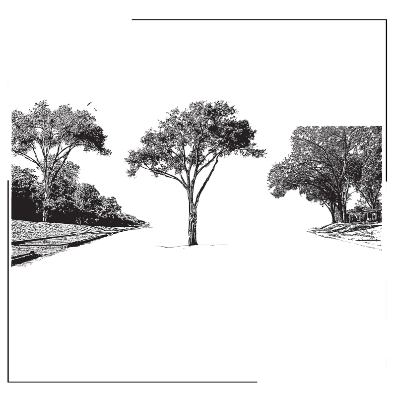 

Tree Clear Stamps Scrapbooking Crafts Decorate Photo Album Embossing Cards Making Clear Stamps New
