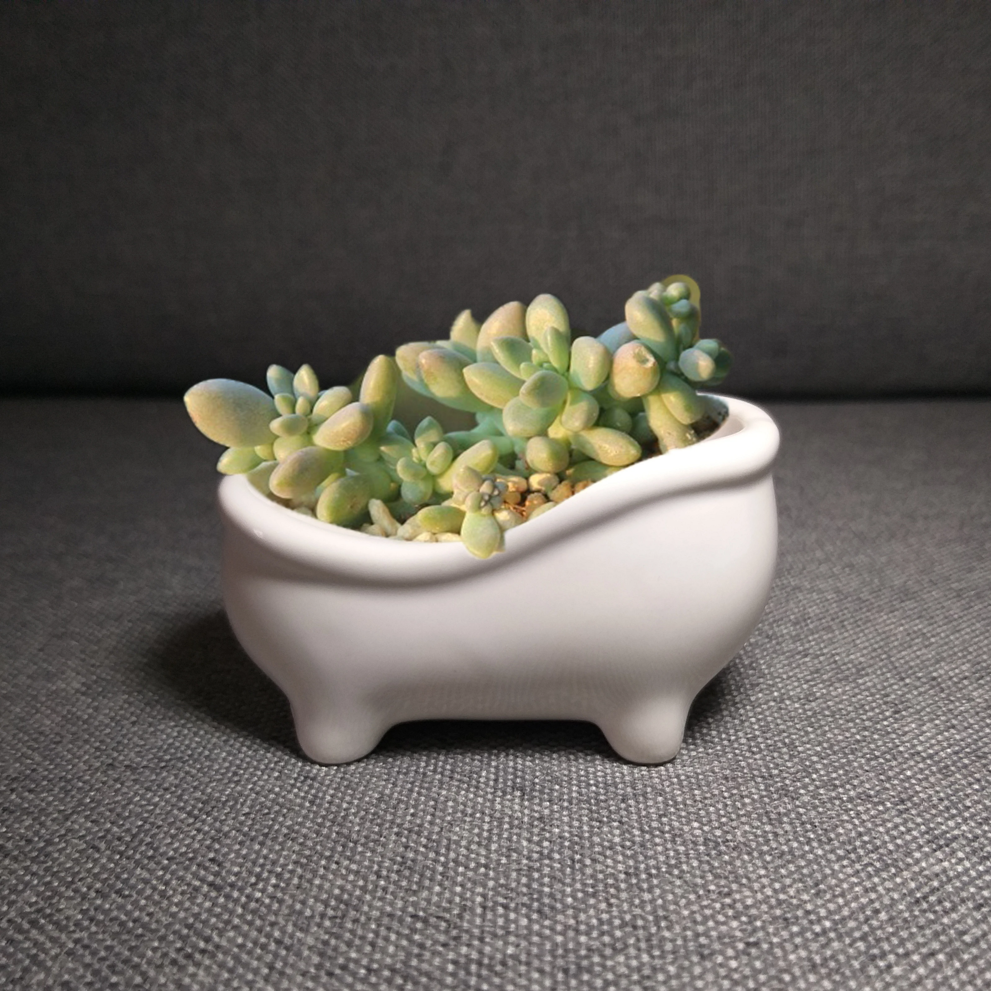 

Bathtub Shape Flower Pot Desktop Bonsai Gardening Potted Succulent Plant Pot Ceramic Art Vase Home Office Decor Garden Supplies