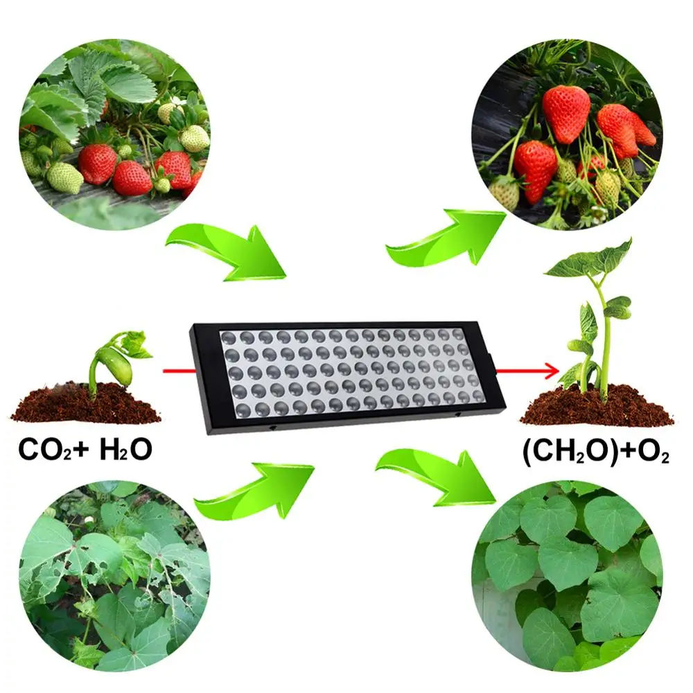 

15W LED Plant Grow Lights Indoor Plant Growing Light Full Spectrum Hydroponic