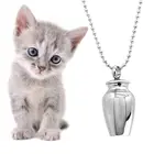 Кошка Собака пепел ЦИЛИНДР ожерелье с урной на память Нержавеющаясталь кремации ювелирных изделий для домашних животных C42