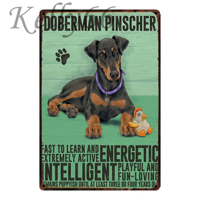 [Kelly66] Собака Щенок кокер спаниель Грейхаунд пуделем Трусики боксеры