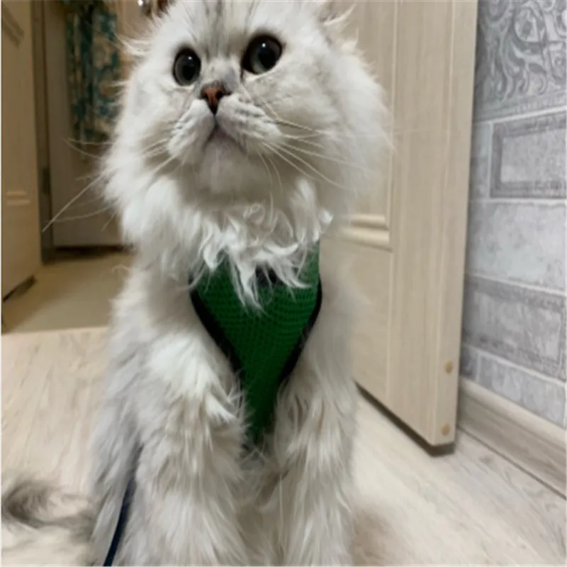 Регулируемая мягкая Воздухопроницаемая сетчатая шлейка для собак ошейник