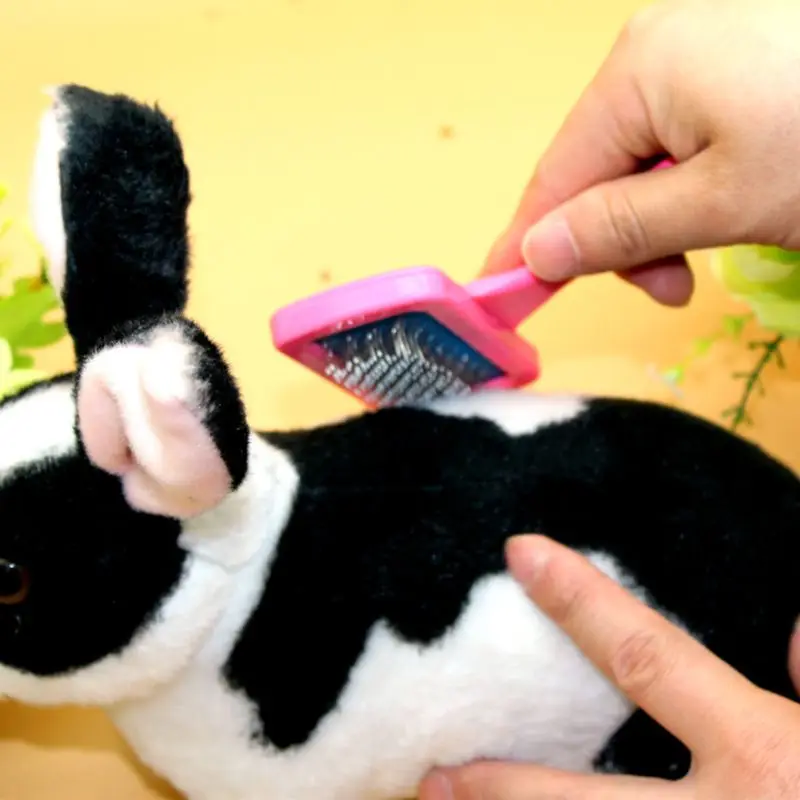 

Rabbit Bathing Supplies Pet Grooming Comb Dutch Pig Rabbits Dog Comb Dry Cleaning Brush