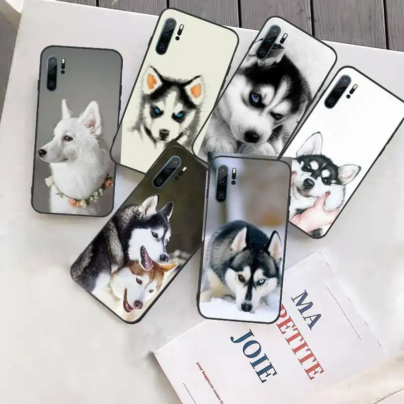 

Husky dog Colorful Cute Phone Case Funda For Huawei P9 P10 P20 P30 Lite 2016 2017 2019 plus pro P smart