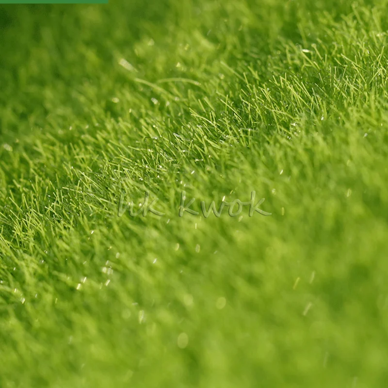 Миниатюры зеленой лужайкой бонсай Террариум статуэтки горшка смолы украшения DIY