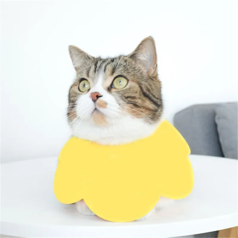 

Cute Pet Protective Collars for Dogs Cats Wound Healing Protection Dog Cat Collars Anti-Bite Neck Cone Recovery Circle