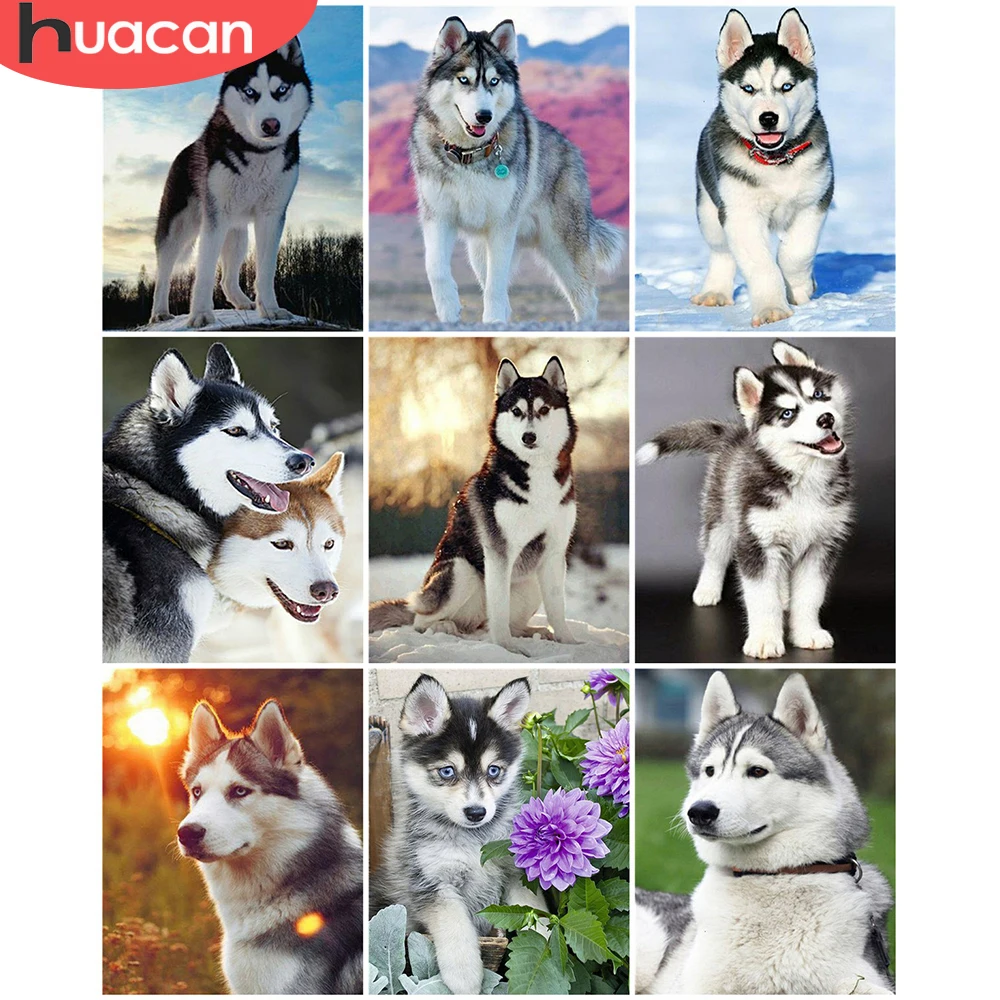 

HUACAN Coloring By Number Dog Animals Kits Home Decoration Pictures Painting By Number Winter Snow HandPainted Art Gift 60x75cm