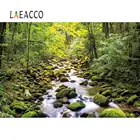 Laeacco Лес Дерево Зеленый мох кустарник парк камень крик живописный вид фото фон для фотосъемки фотостудия фотосессия