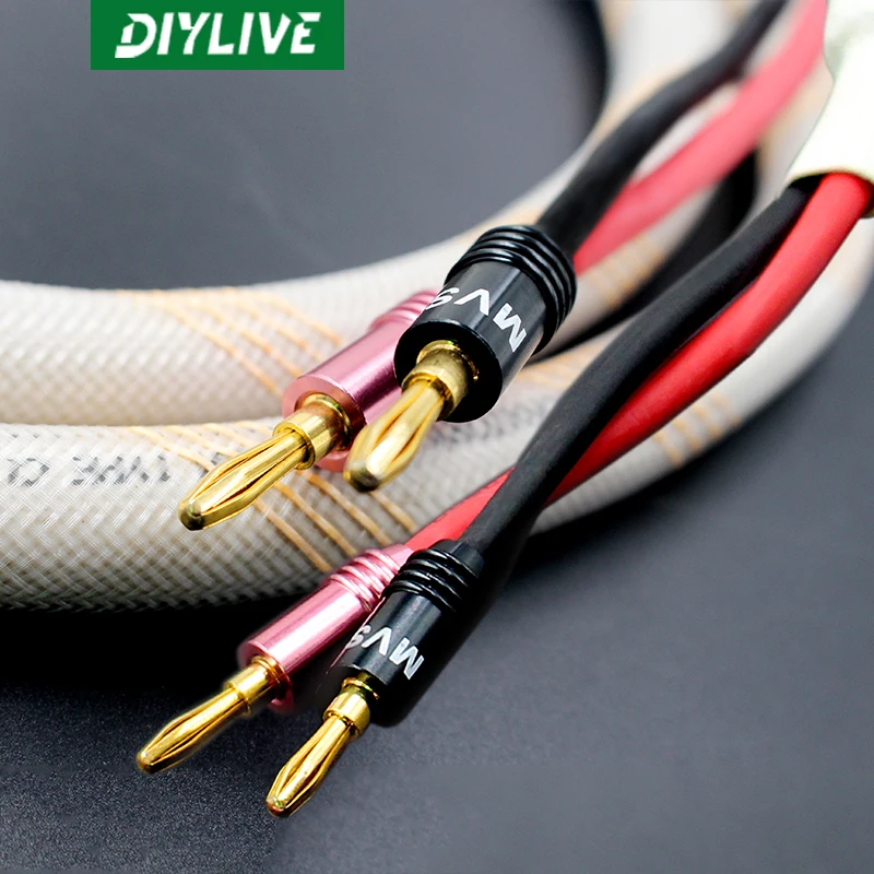 DIYLIVE Hi-Fi fairy with oxygen free copper horn line fever main speaker line HIFI home theater audio center cable