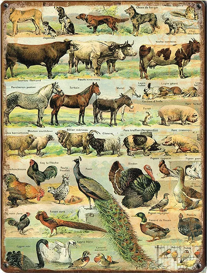

French Digital Domestic Animals, Farm Animals, Animals tin Sign. Dogs Cats Cows Horses Pigs Farmhouse tin Sign Wall Decoration