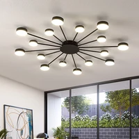 nordic simple modern led ceiling lights for living room fixtures indoor decor gold lamp bedroom lighting black luster