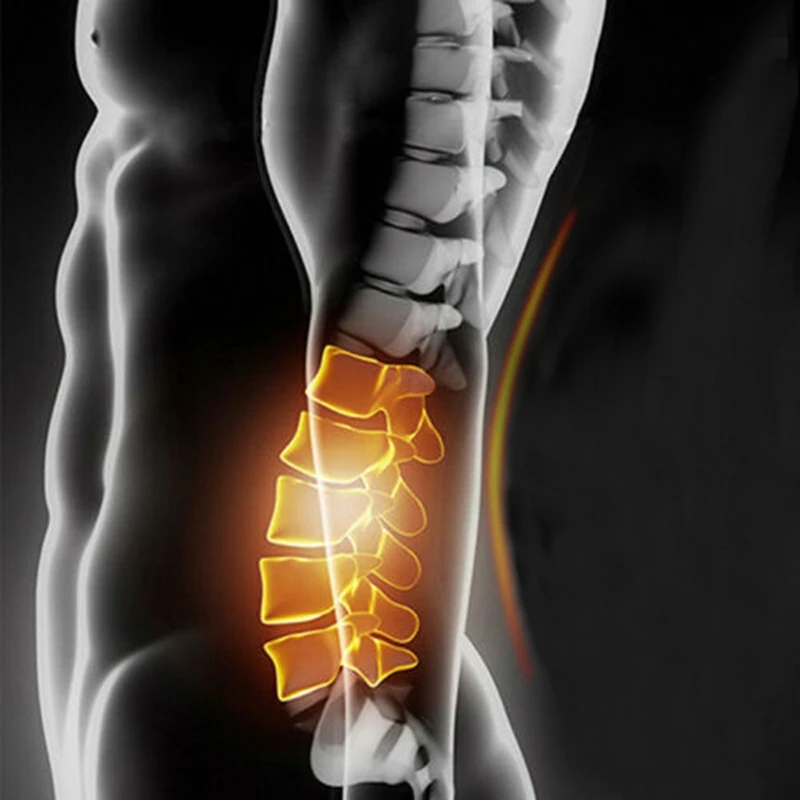 

Back Stretcher Adjustable Waist Pain Relief Support Posture Corrector