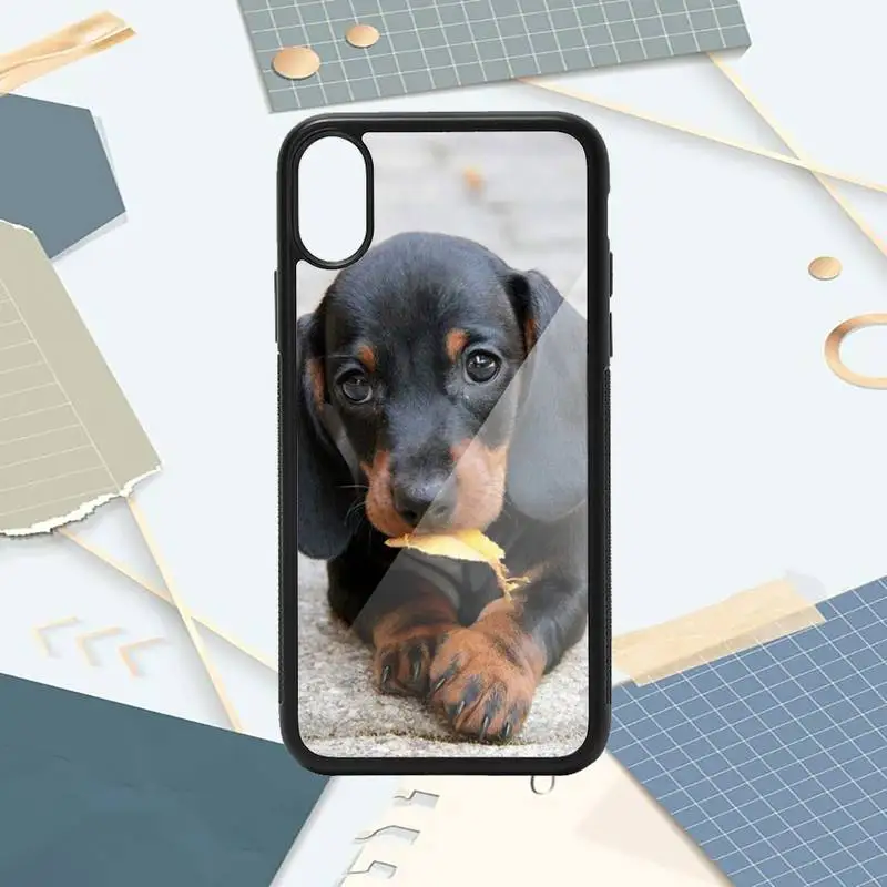 

Cute animal Dachshund Doberman Dog luxury design Phone Case shell PC for iPhone 11 12 pro XS MAX 8 7 6 6S Plus X 5S SE 2020 XR