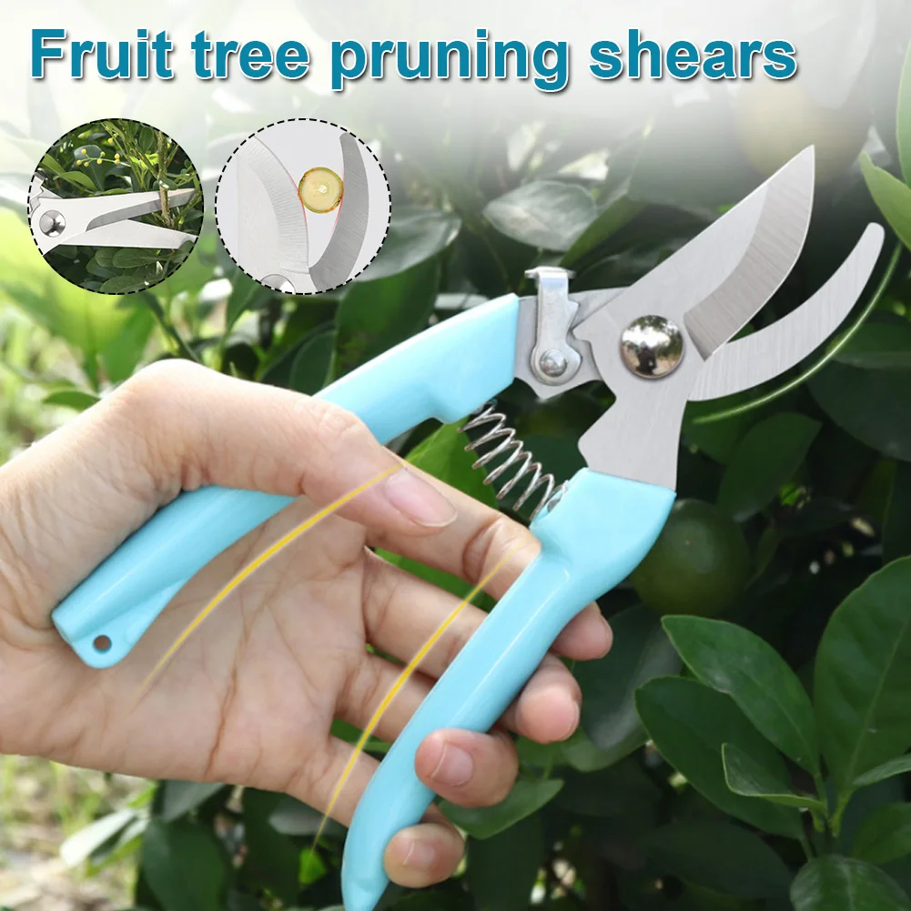 

Pruning Shears Sharp Stainless Steel Hand Pruner Fruit Branch Clipper Trimmer Scissor with Curved Straight Blade for Garden