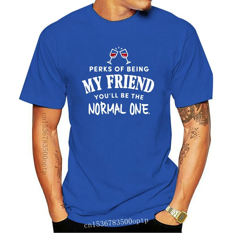 

New Men Funny T Shirt Fashion tshirt Perks Of Being My Friend You'Ll Be The Normal One Wine Friend Women t-shirt