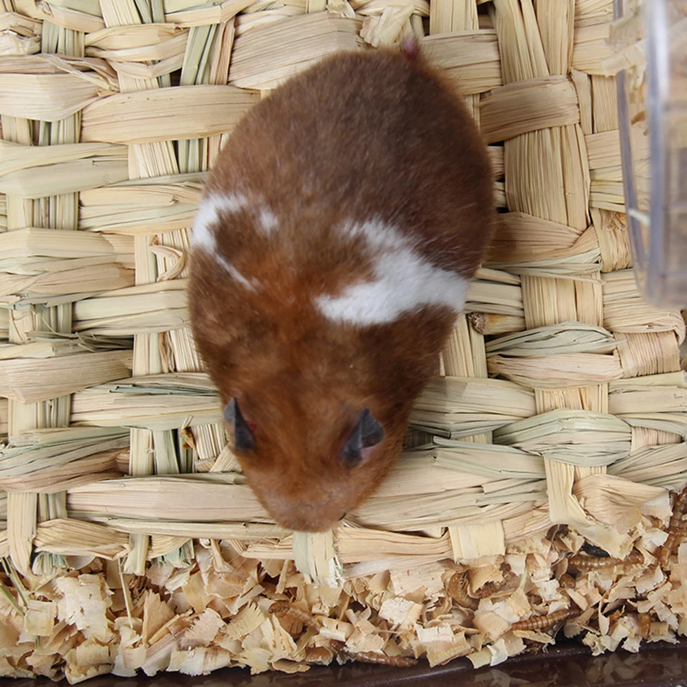 Новый 2019 соломенный коврик для домашних животных хомяк кролика Размеры S/L