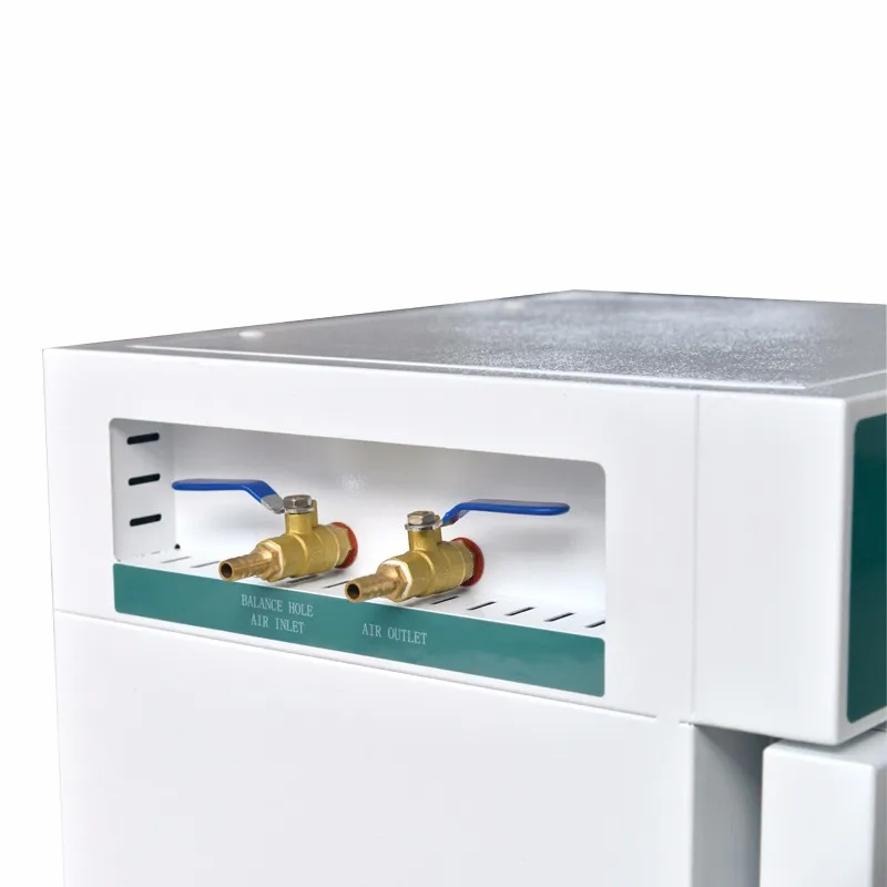 (220v) CE-compliant Laboratory Small High Temperature Vacuum Furnace PID Controller Forced Air Drying Box for School Science Lab |