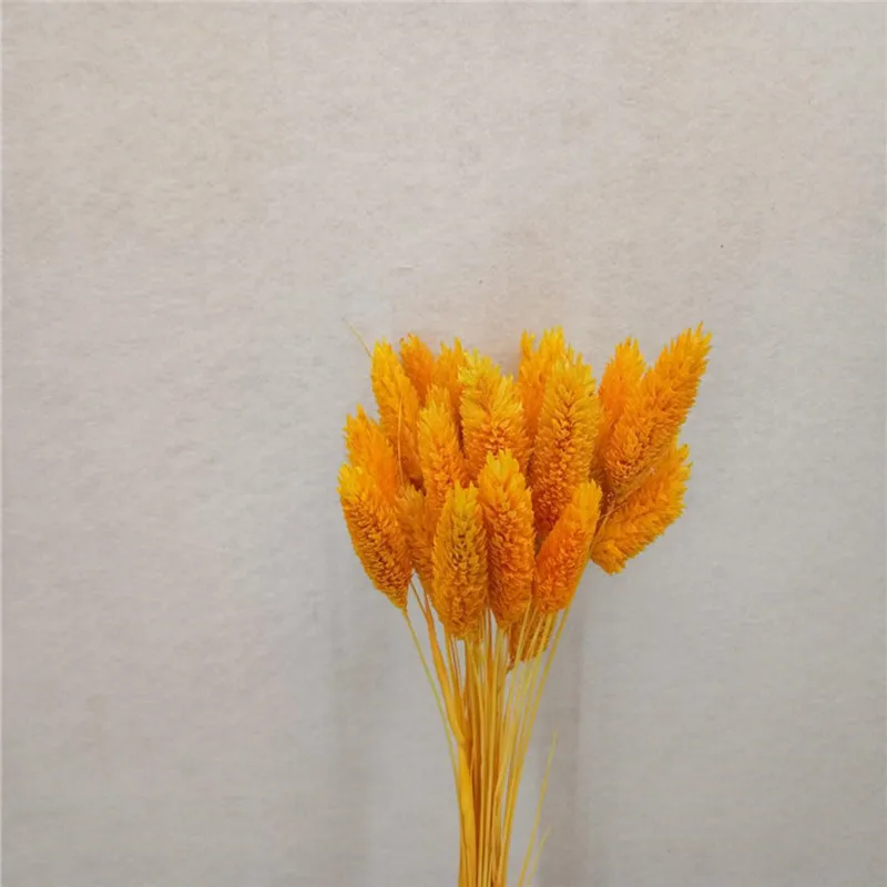 

50pcs Dried Natural Flowers Stems for Arrangements Bundle Home Decor Photo Props Handmade Air-drying Wedding Supplies