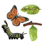 Моделирование жизненный цикл насекомых фигурки животных рост модели жизненного цикла биологии научные Развивающие игрушки для детей