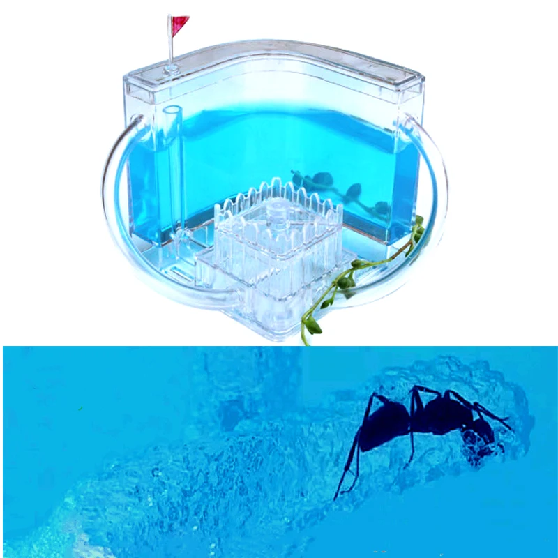 Новая Песочная муравьиная ферма домик сделай сам зона кормления белый песок