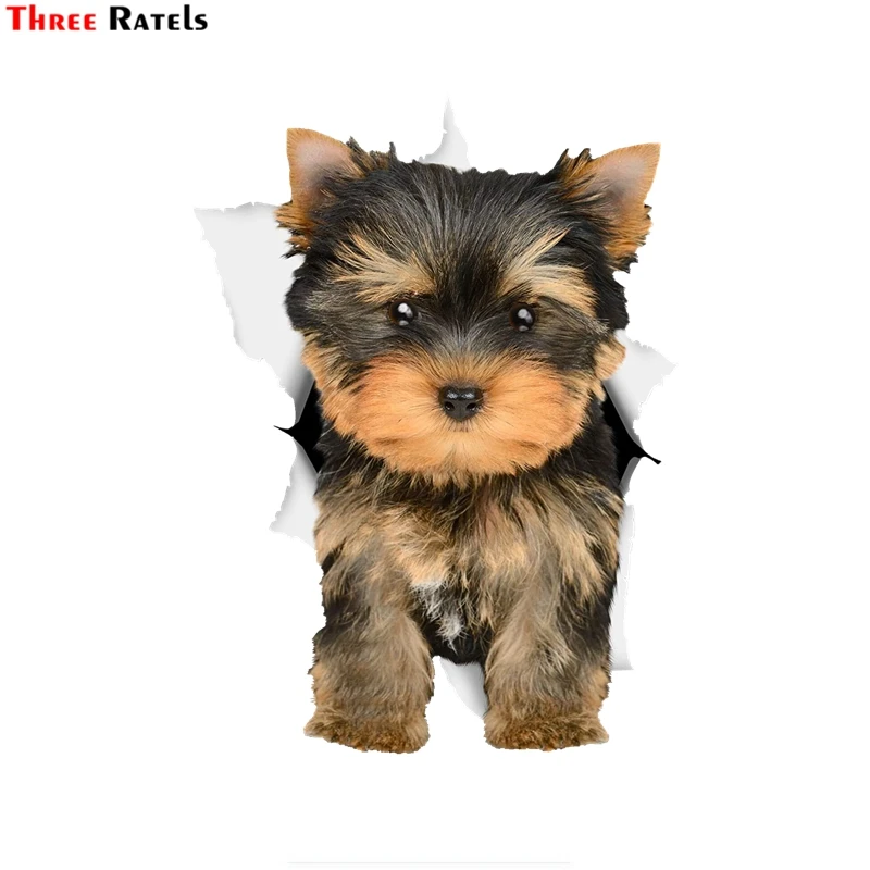 

Three Ratels 1074 3D Adorable Yorkie Dog Sticker Dog Decals for Walls Fridge Cars Toilet Luggage Skateboard Laptop