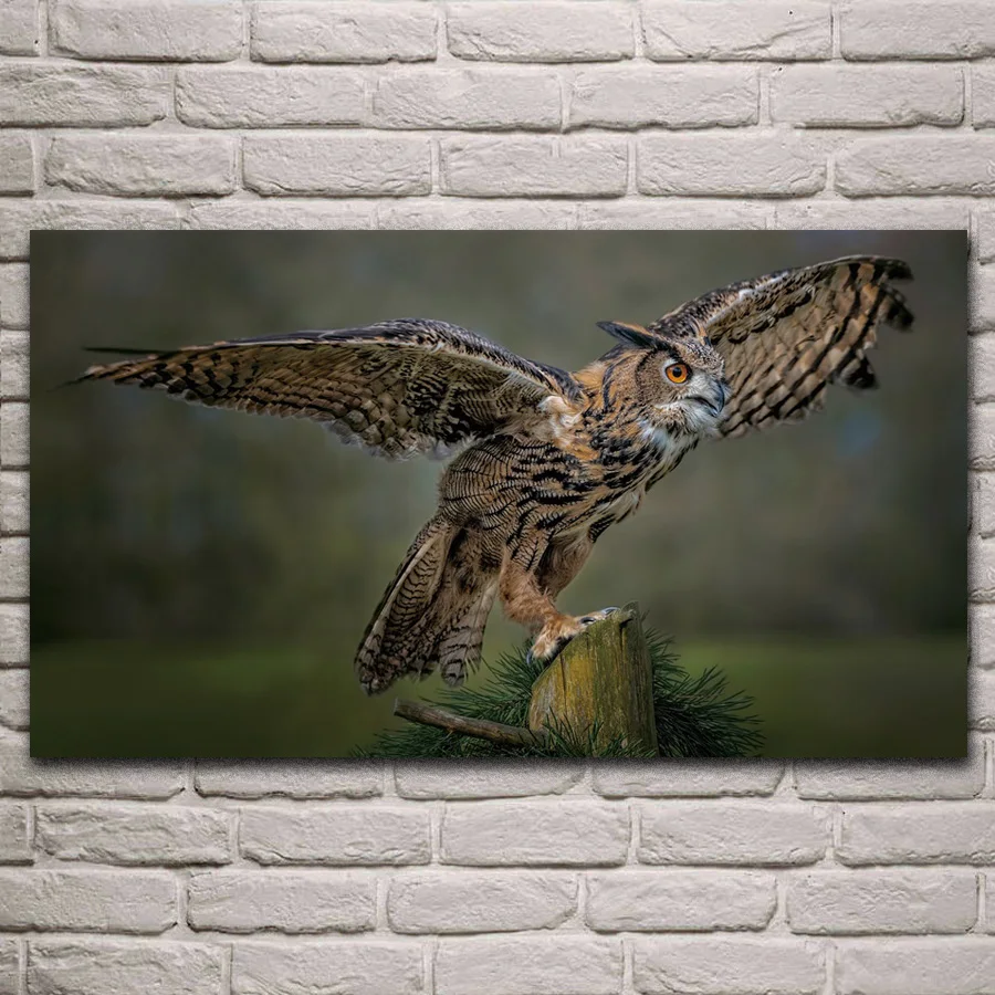 Животное птица Орлан крылья Совы искусство ткань дома Декор для гостиной KL609 | Дом