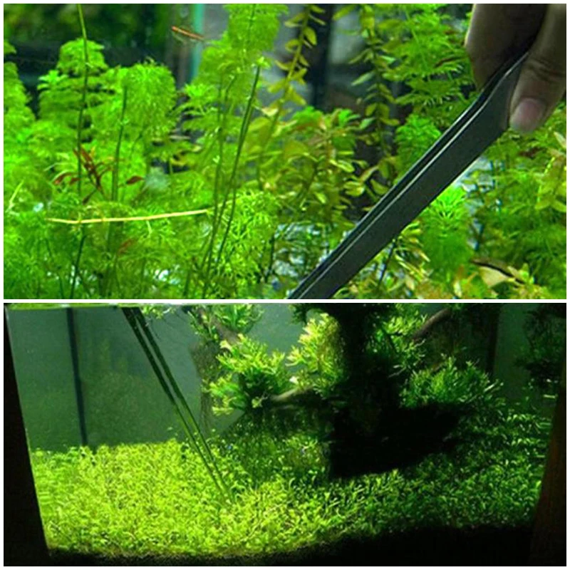 Stainless Steel Curved Aquarium Tweezers Plant Shrimp Reef Tweezer Fish Tank Cleaner Accessories Cleaning Tool | Дом и сад