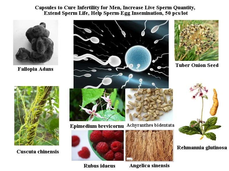TCM Formula to cure мужское бесплодие, увеличение скорости осеменения спермы, увеличение срока службы спермы во влагалище
