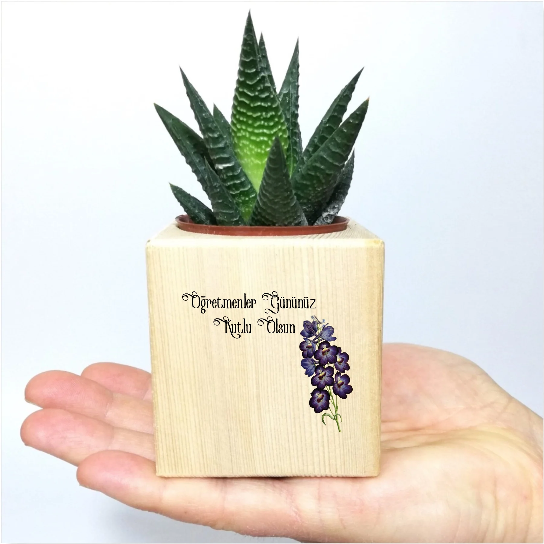 

Кубик в горшках для учителей