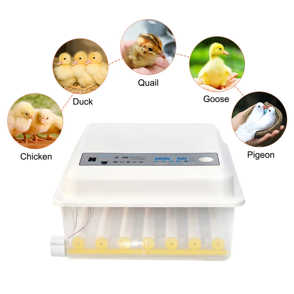 

220V Eggs Incubator Brooder Bird Quail Incubator Chick Hatchery Incubator Poultry Hatcher Turner Automatic Farm Incubation Tools