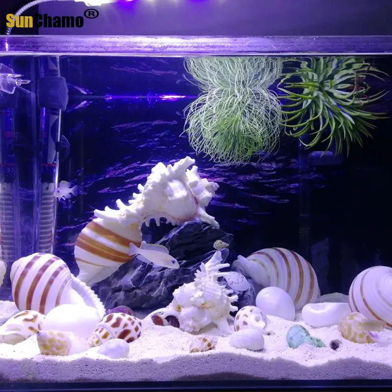 Новая ваза с винтовым плетением раковина из натуральной раковины украшение для