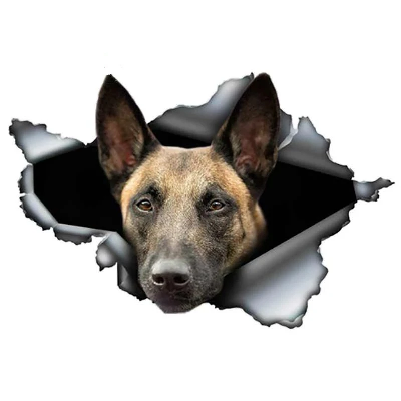 

S50215# 13/15/17CM Personality PVC Decal Belgian Malinois Car Sticker on Motorcycle Laptop Decorative Accessories