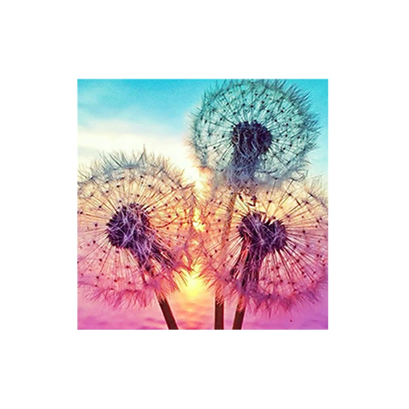 

Stocks YS022 Dandelion blue sky DIY Diamond Painting kits Diamond embroidery full round Diamond painting Mosaic Hanging picture