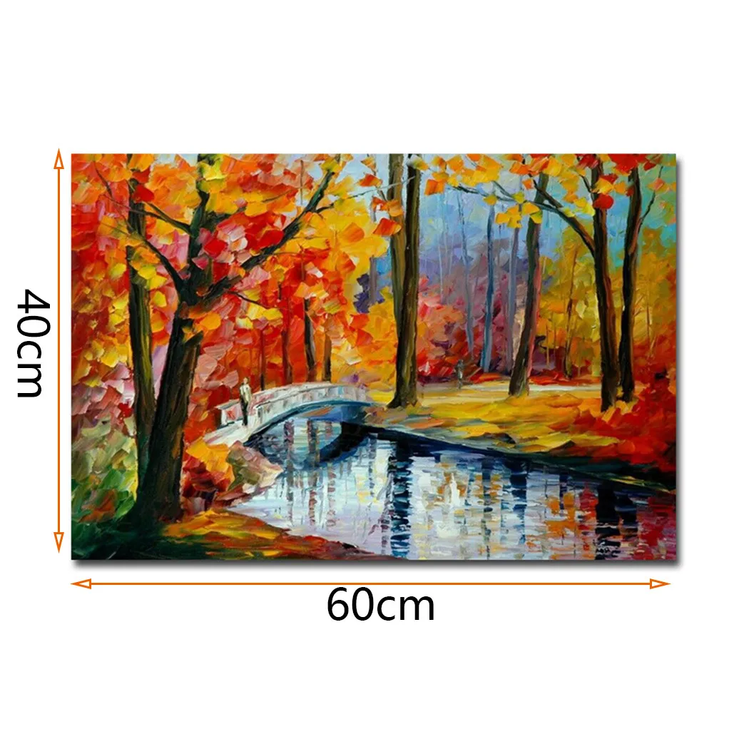 

40x60cm Painting Accessories Canvas Decoration Home Decor Oil Painting