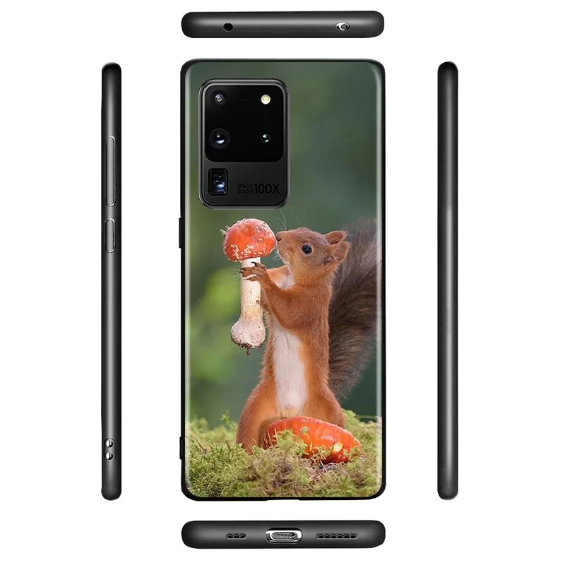 

Cute Animal Squirrel For Samsung Galaxy A01 A11 A12 A21 A31 A41 A42 A51 A71 A91 A32 A52 A72 A02S Phone Case