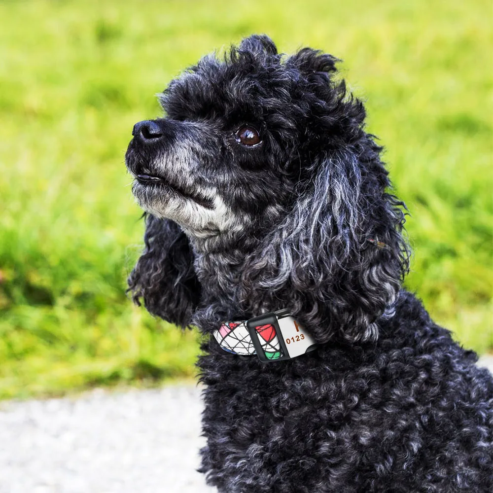 Collar personalizado de nailon para perros, productos para mascotas, peque&ntilde;os, medianos y grandes, con grabado de nombre y etiqueta de identificaci&oacute;n, 5 piezas-5