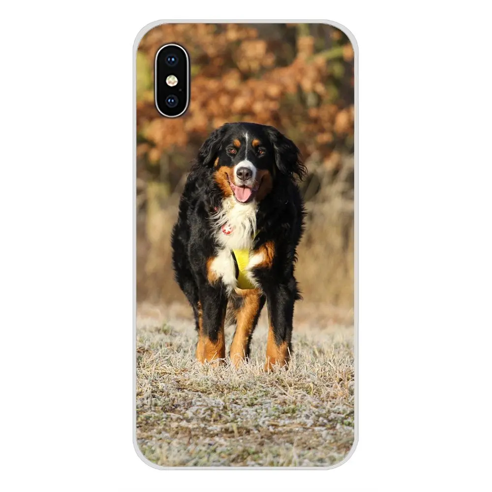 For Samsung Galaxy J1 J2 J3 J4 J5 J6 J7 J8 Plus 2018 Prime 2015 2016 2017 Accessories Phone Cases Covers Bernese Mountain Dog | Мобильные