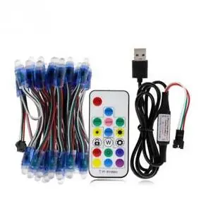 with RF remote 50 шт. 12 мм WS2811 IC RGB полноцветные пиксели USB светодиодный модуль WiFi bluetooth цифровой адресный 5 в Водонепроницаемая струнная лампа - Цвет: with RF remote
