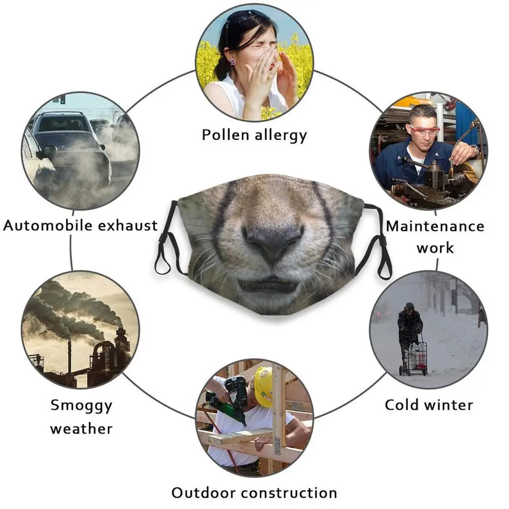 

Cheetah Face Protective Mask Anti Dust Face Mask Washable Filter ReusableCheetah Acinonyx Jubatus Cheetah Lovers