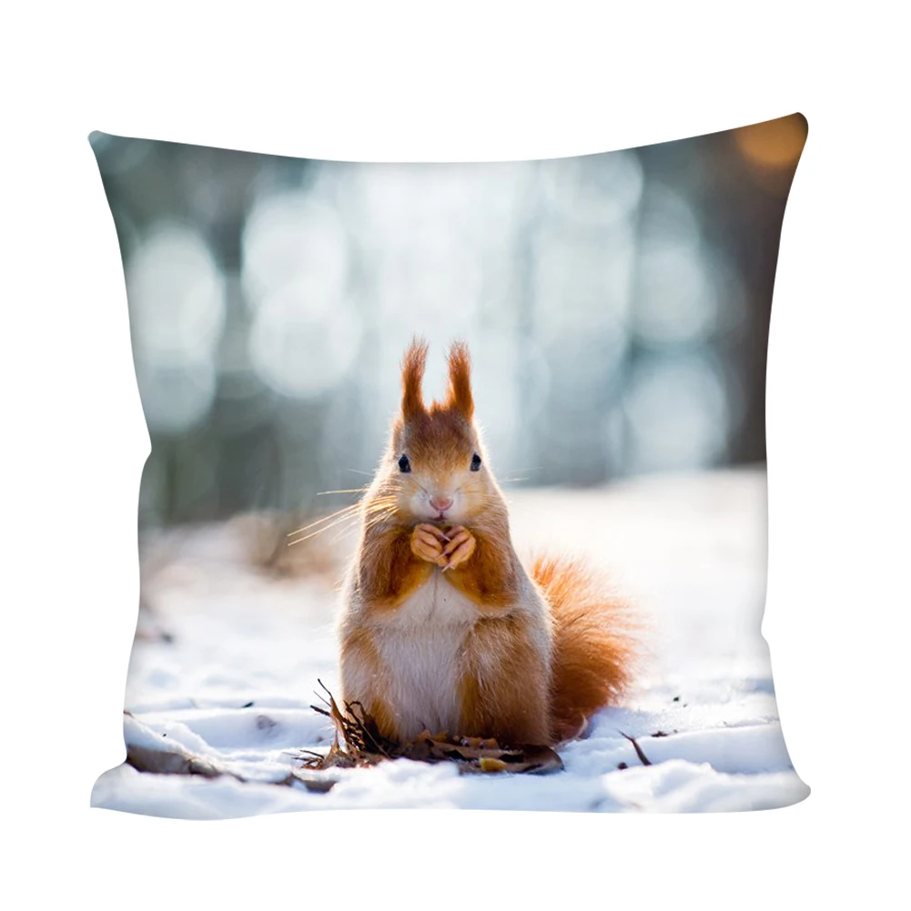 

Upetstory Animal Squirrel Car Seat Waist Cushion Cover Home Sofa Pillowcase Pillow Case/Cover Rooms Decoration Throw Pillowcase