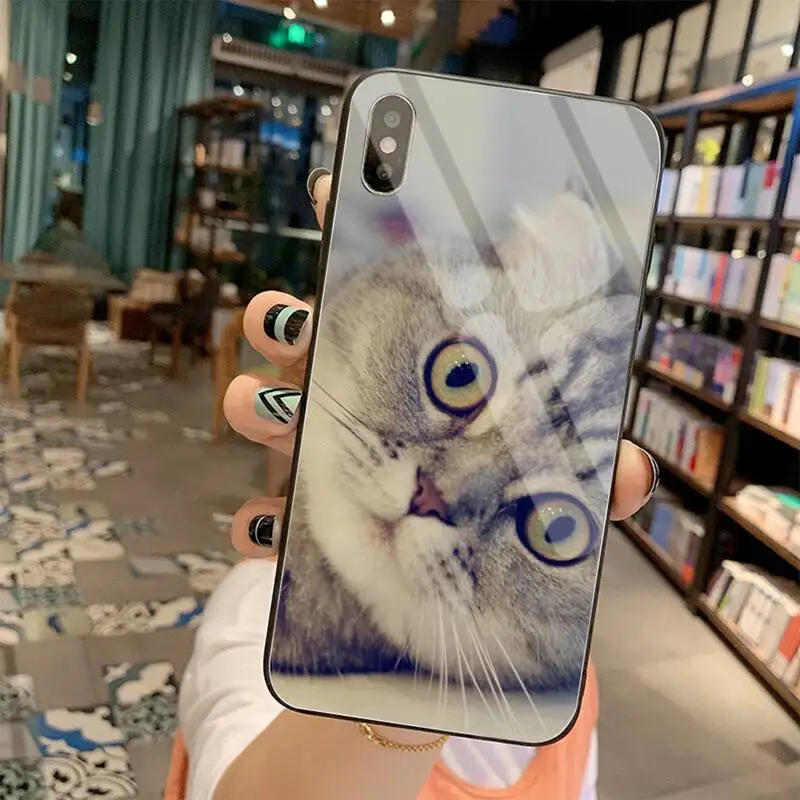 

PENGHUWAN Scottish fold cat Coque Shell Phone Case Tempered Glass For iPhone 11 Pro XR XS MAX 8 X 7 6S 6 Plus SE 2020 case
