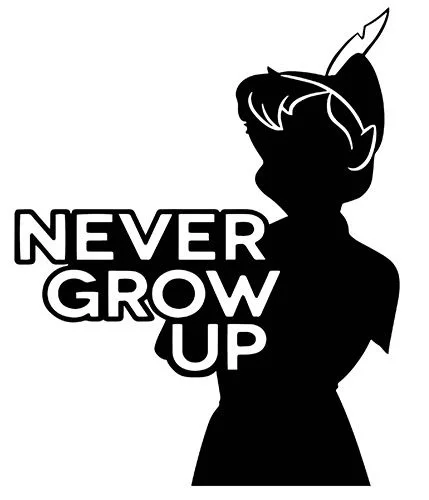 Для Питера Пэна наклейка &quotправила&quot виниловая никогда не вырастет фантазия