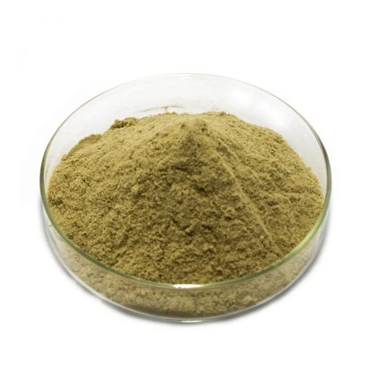 

100/500/1000 г фукоксантин порошок 10% экстракт водорослей анти-окислительный диабет, водоросли полисахарид