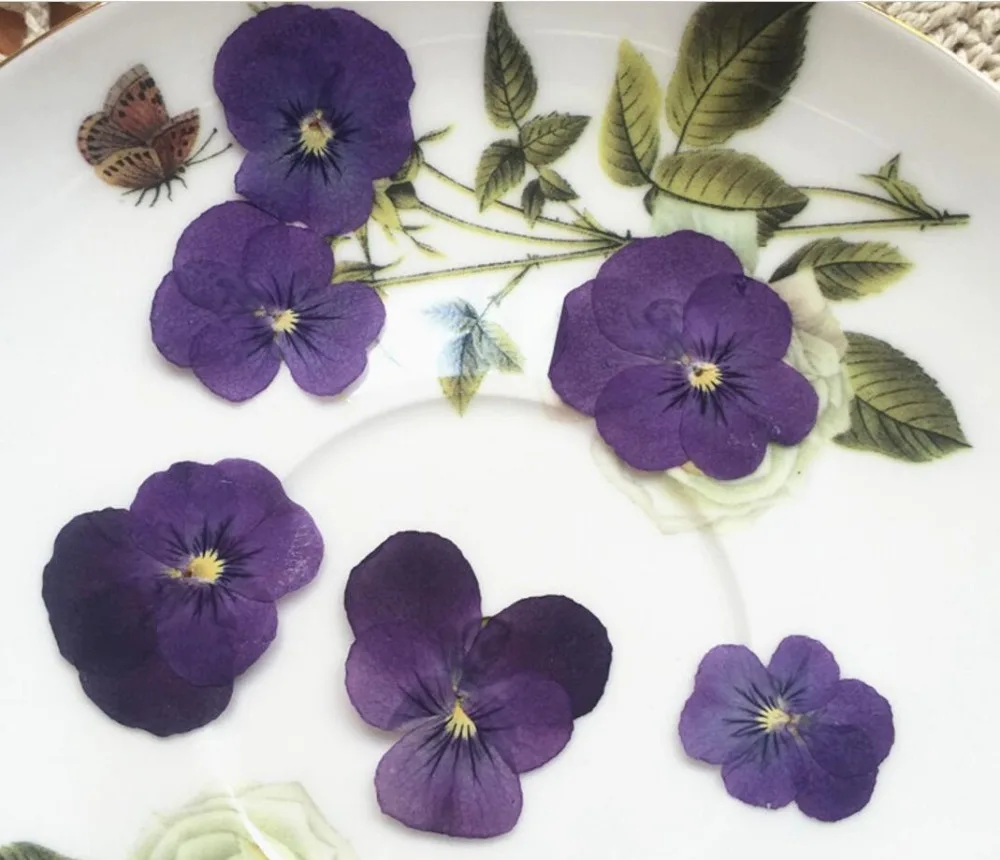 

250pcs Pressed Dried 2-3cm Purple Viola Tricolor L. Flower Plant Herbarium For Jewelry Postcard Bookmark Invatation Card DIY