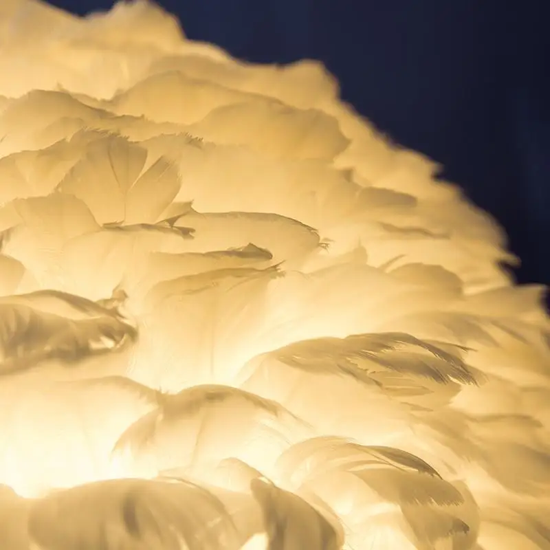 Современная роскошная Напольная Лампа в скандинавском стиле с перьями