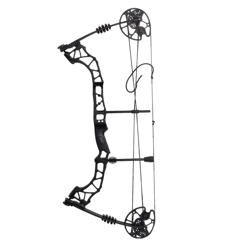 

Pulley Bow And Arrow Adjustable Pound Distance Outdoor Fish And Arrow Archery Bow And Arrow Set Combination